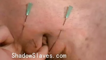 हामटे सेक्सी मूवी इंग्लिश वीडियो हनीस 2 स्केन 03 में फ्रैंक जैम्स